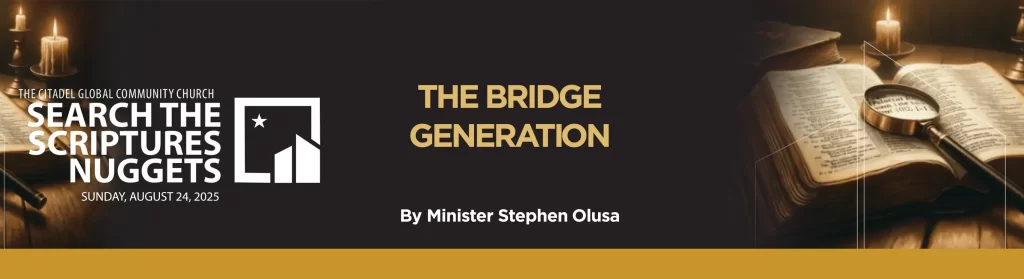 THE BRIDGE GENERATION