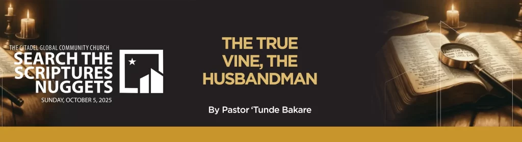 THE TRUE VINE, THE HUSBANDMAN