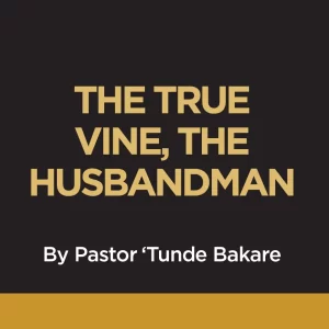 THE TRUE VINE, THE HUSBANDMAN
