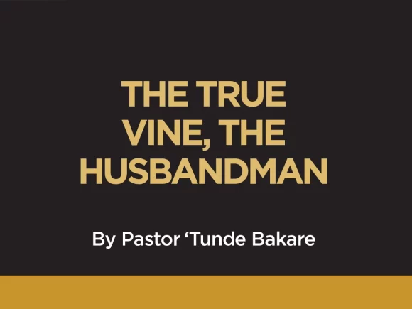 THE TRUE VINE, THE HUSBANDMAN