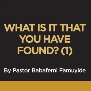 WHAT IS IT THAT YOU HAVE FOUND? (1)