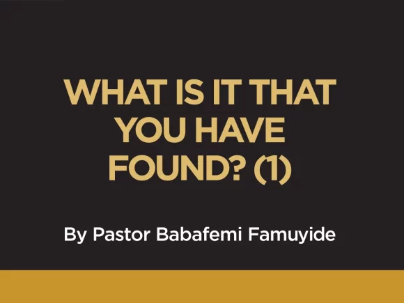 WHAT IS IT THAT YOU HAVE FOUND? (1)