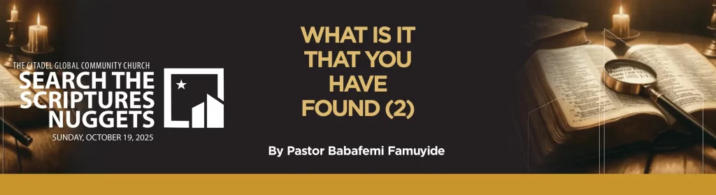 WHAT IS IT THAT YOU HAVE FOUND? (2)