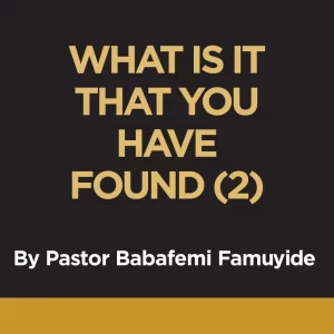 WHAT IS IT THAT YOU HAVE FOUND? (2)
