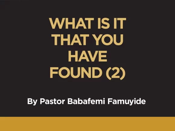 WHAT IS IT THAT YOU HAVE FOUND? (2)