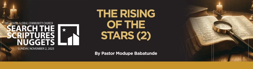 THE RISING OF THE STARS-2