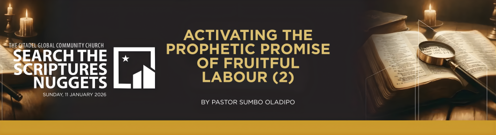 ACTIVATING THE PROPHETIC PROMISE OF FRUITFUL LABOUR – 2