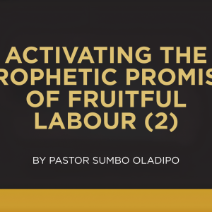 ACTIVATING THE PROPHETIC PROMISE OF FRUITFUL LABOUR – 2