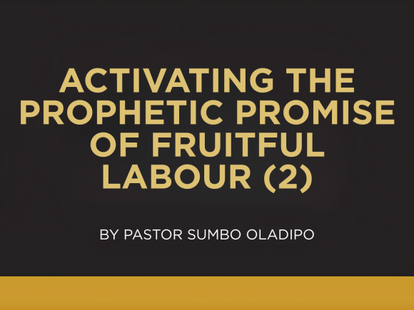 ACTIVATING THE PROPHETIC PROMISE OF FRUITFUL LABOUR – 2