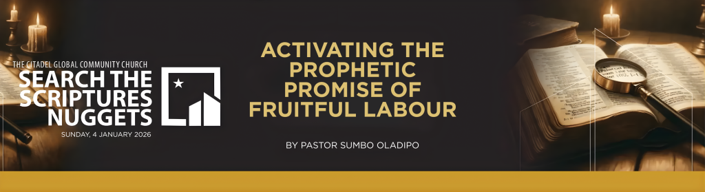 ACTIVATING THE PROPHETIC PROMISE OF FRUITFUL LABOUR