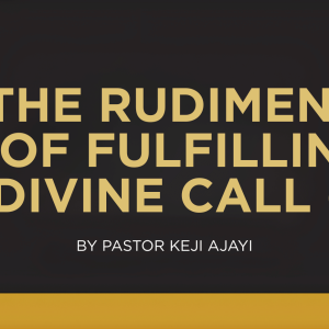 THE RUDIMENTS OF FULFILLING DIVINE CALL (1)
