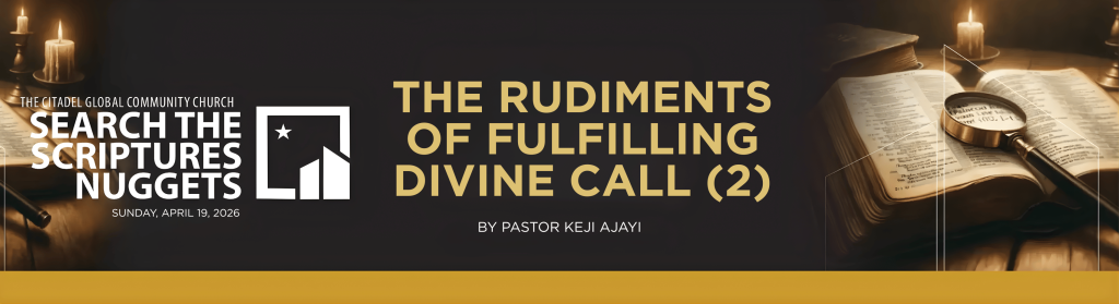 THE RUDIMENTS OF FULFILLING DIVINE CALL (2)
