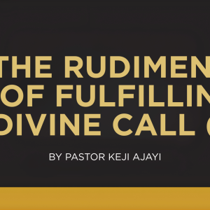 THE RUDIMENTS OF FULFILLING DIVINE CALL (2)