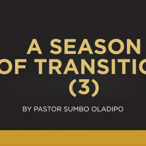 A SEASON OF TRANSITION (3)